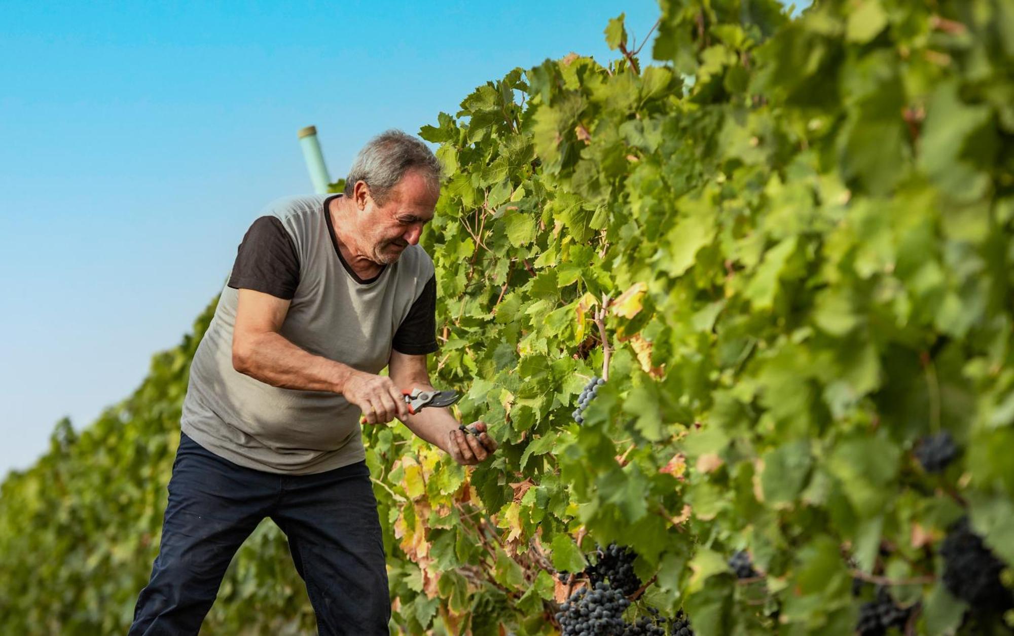 Agriturismo S'Incant'E Sinis San Salvatore  ภายนอก รูปภาพ